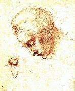 Michelangelo Buonarroti Study of a Head France oil painting artist
